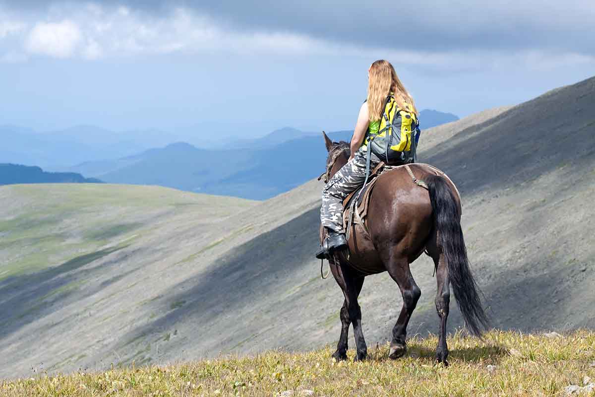 Horse rider showing rural tourism in Post Quake Farming region, North Canterbury